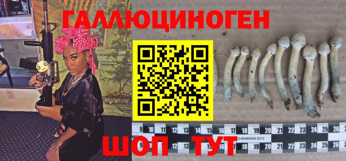 наркошоп  Галлюциногенные грибы Cubensis  Сертолово  Вход с VPN  Галлюциногенные грибы MAGIC MUSHROOMS 